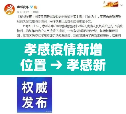 孝感疫情新增位置 → 孝感新冠肺炎疫情