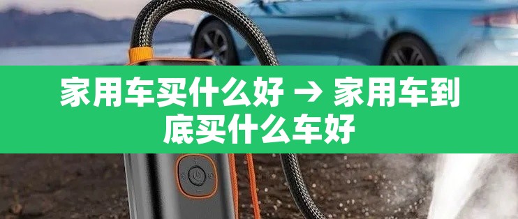 家用车买什么好 → 家用车到底买什么车好
