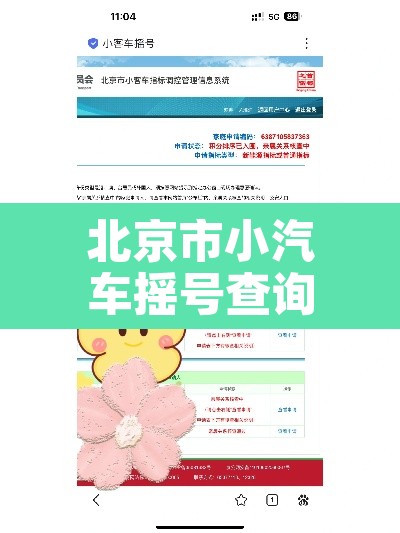 北京市小汽车摇号查询系统：2021北京小汽车摇号官网查询系统