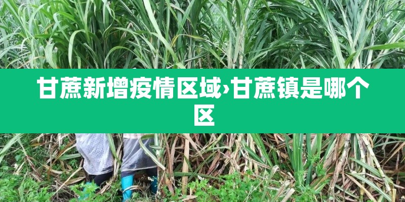 甘蔗新增疫情区域›甘蔗镇是哪个区 甘蔗新增疫情区域›甘蔗镇是哪个区