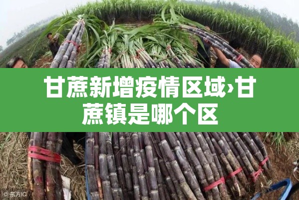 甘蔗新增疫情区域›甘蔗镇是哪个区 甘蔗新增疫情区域›甘蔗镇是哪个区