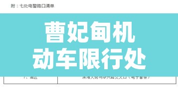 曹妃甸机动车限行处罚 → 曹妃甸限行2019