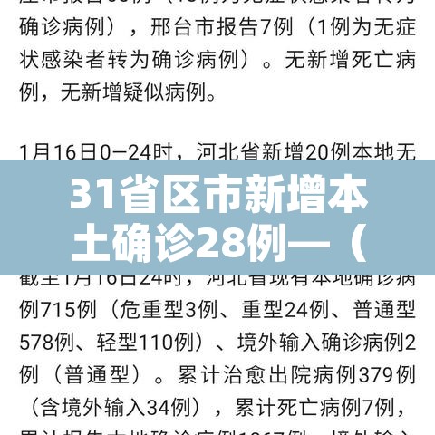 31省区市新增本土确诊28例—(31省区市新增确诊30例本土12例) 31省区市新增本土确诊28例—(31省区市新增确诊30例本土12例)