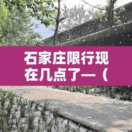 石家庄限行现在几点了—（石家庄限行几点几分）