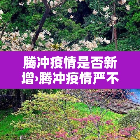 腾冲疫情是否新增›腾冲疫情严不严重 腾冲疫情是否新增›腾冲疫情严不严重