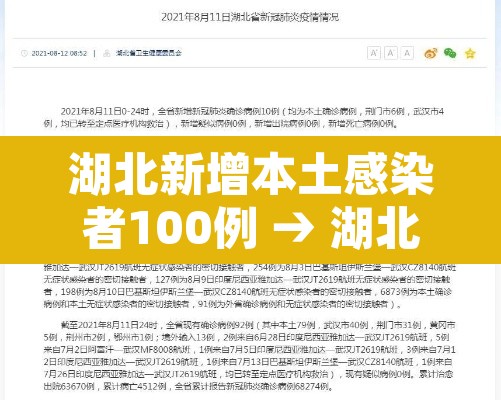 湖北新增本土感染者100例 → 湖北新增本土感染者100例 湖北新增本土感染者100例 → 湖北新增本土感染者100例