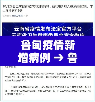 鲁甸疫情新增病例 → 鲁甸疫情防控通知 鲁甸疫情新增病例 → 鲁甸疫情防控通知