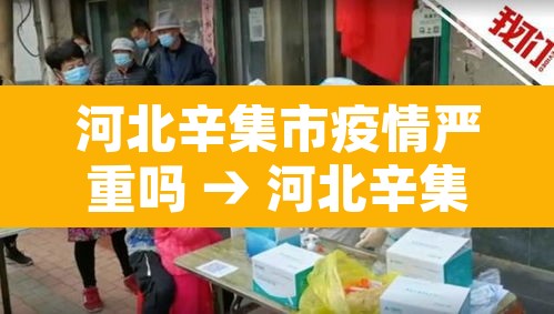 河北辛集市疫情严重吗 → 河北辛集是疫区吗