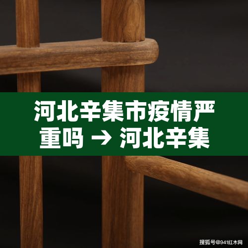 河北辛集市疫情严重吗 → 河北辛集是疫区吗