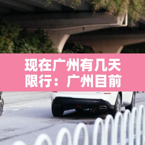 现在广州有几天限行:广州目前有限行吗