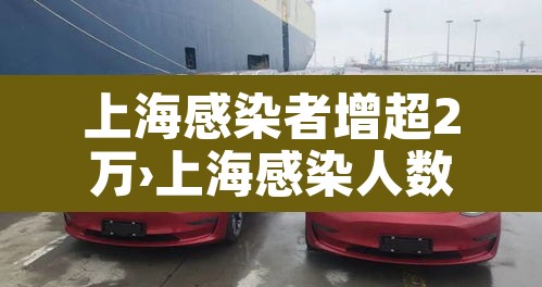 上海感染者增超2万›上海感染人数 上海感染者增超2万›上海感染人数