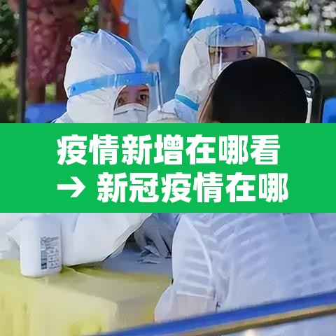 疫情新增在哪看 → 新冠疫情在哪看