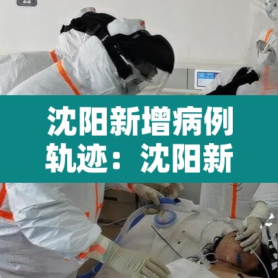 沈阳新增病例轨迹：沈阳新增患者轨迹