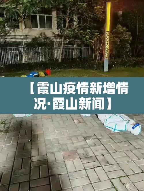【霞山疫情新增情况·霞山新闻】 【霞山疫情新增情况·霞山新闻】