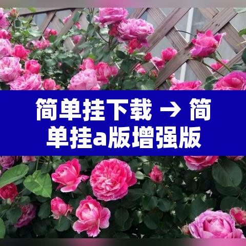 简单挂下载 → 简单挂a版增强版 简单挂下载 → 简单挂a版增强版