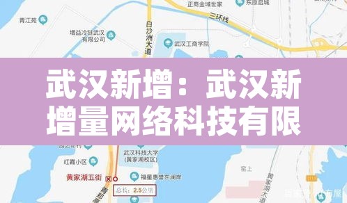 武汉新增：武汉新增量网络科技有限公司