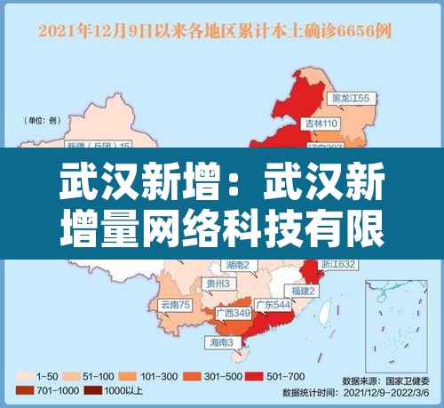 武汉新增：武汉新增量网络科技有限公司