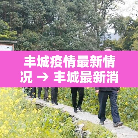 丰城疫情最新情况 → 丰城最新消息