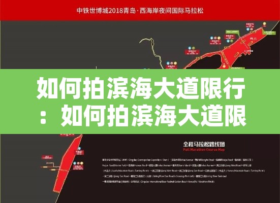 如何拍滨海大道限行：如何拍滨海大道限行照片