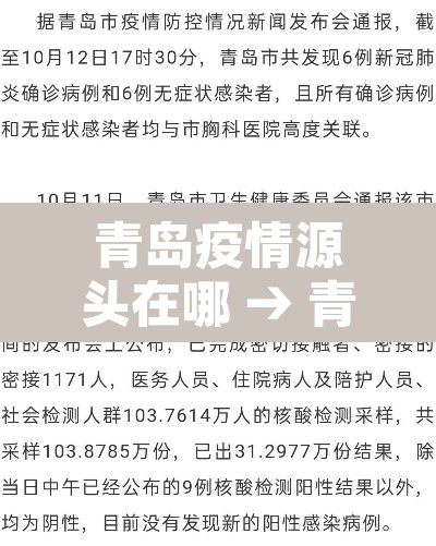 青岛疫情源头在哪 → 青岛疫情发源地