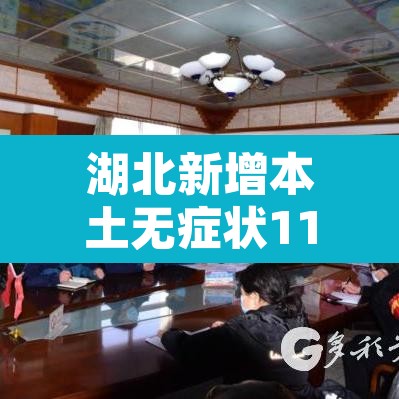 湖北新增本土无症状11例 → 湖北新增无症状感染者9例,现有确诊病例6例