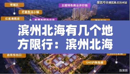 滨州北海有几个地方限行:滨州北海新区是停建了吗 滨州北海有几个地方限行:滨州北海新区是停建了吗