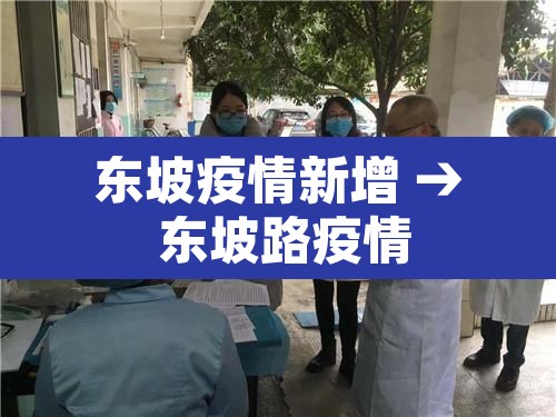 东坡疫情新增 → 东坡路疫情