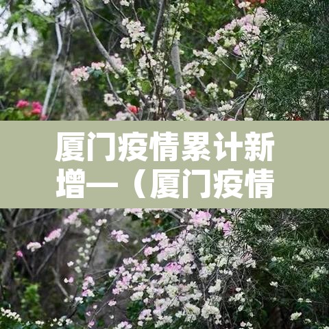厦门疫情累计新增—（厦门疫情累计新增人数）