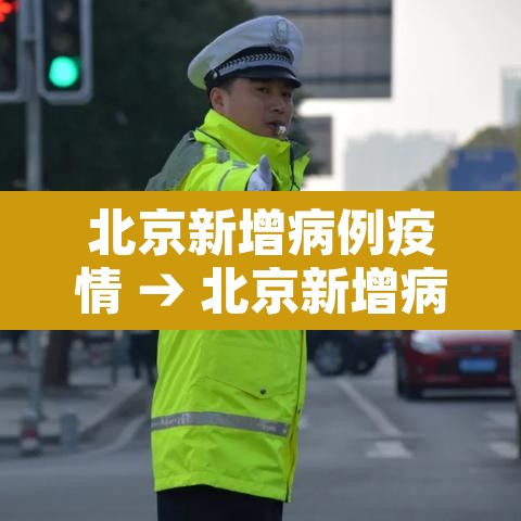 北京新增病例疫情 → 北京新增病例疫情分布情况