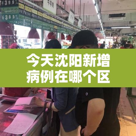 今天沈阳新增病例在哪个区:今天沈阳新增病例在哪个区了 今天沈阳新增病例在哪个区:今天沈阳新增病例在哪个区了