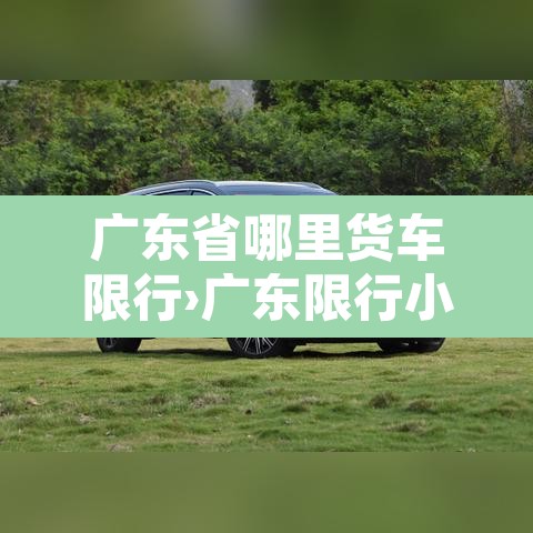 广东省哪里货车限行›广东限行小货车的地方