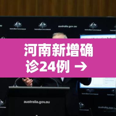 河南新增确诊24例 → 河南 新增确诊
