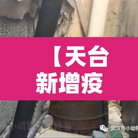 【天台新增疫情病例·天台新冠肺炎最新消息】 【天台新增疫情病例·天台新冠肺炎最新消息】