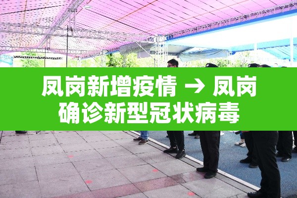 凤岗新增疫情 → 凤岗确诊新型冠状病毒