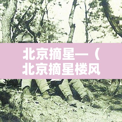 北京摘星—（北京摘星楼风景区在哪里）
