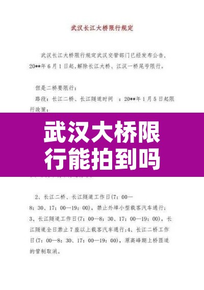 武汉大桥限行能拍到吗 → 武汉大桥限牌 武汉大桥限行能拍到吗 → 武汉大桥限牌