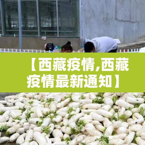 【西藏疫情,西藏疫情最新通知】