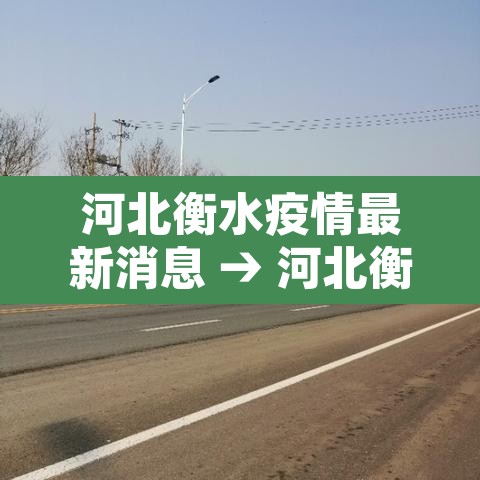 河北衡水疫情最新消息 → 河北衡水疫情最新消息2021