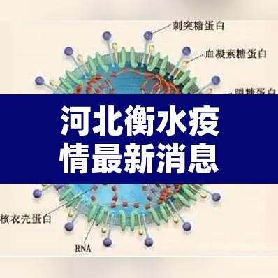 河北衡水疫情最新消息 → 河北衡水疫情最新消息2021 河北衡水疫情最新消息 → 河北衡水疫情最新消息2021