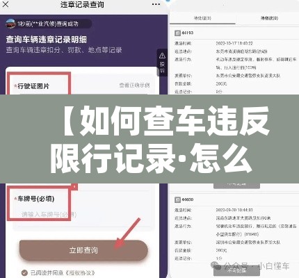 【如何查车违反限行记录·怎么查汽车限号违章】 【如何查车违反限行记录·怎么查汽车限号违章】