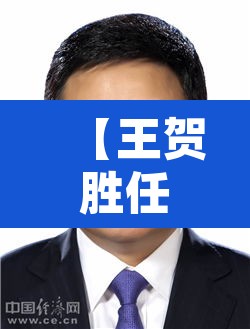【王贺胜任湖北省委常委,王贺胜 湖北】