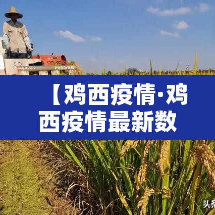 【鸡西疫情·鸡西疫情最新数据消息】 【鸡西疫情·鸡西疫情最新数据消息】