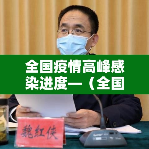 全国疫情高峰感染进度—(全国疫情高峰期数据) 全国疫情高峰感染进度—(全国疫情高峰期数据)