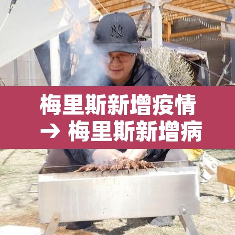 梅里斯新增疫情 → 梅里斯新增病例 梅里斯新增疫情 → 梅里斯新增病例