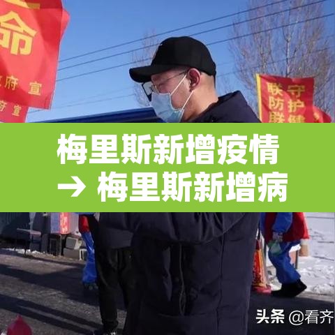梅里斯新增疫情 → 梅里斯新增病例 梅里斯新增疫情 → 梅里斯新增病例