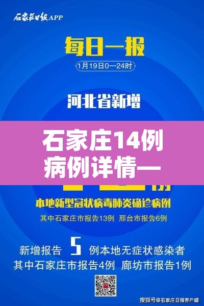 石家庄14例病例详情—(石家庄14例病例详情公布) 石家庄14例病例详情—(石家庄14例病例详情公布)