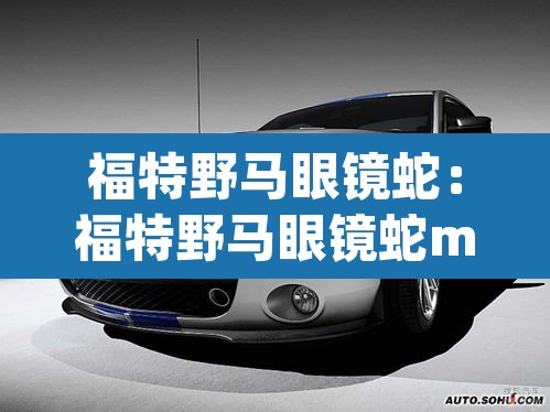 福特野马眼镜蛇:福特野马眼镜蛇mustang gt 500 福特野马眼镜蛇:福特野马眼镜蛇mustang gt 500