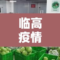 临高疫情新增总数—(临高最新疫情) 临高疫情新增总数—(临高最新疫情)