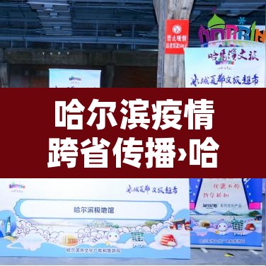 哈尔滨疫情跨省传播›哈尔滨疫情传播链条 哈尔滨疫情跨省传播›哈尔滨疫情传播链条