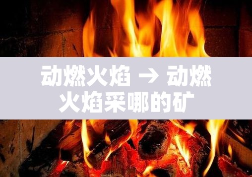 动燃火焰 → 动燃火焰采哪的矿 动燃火焰 → 动燃火焰采哪的矿